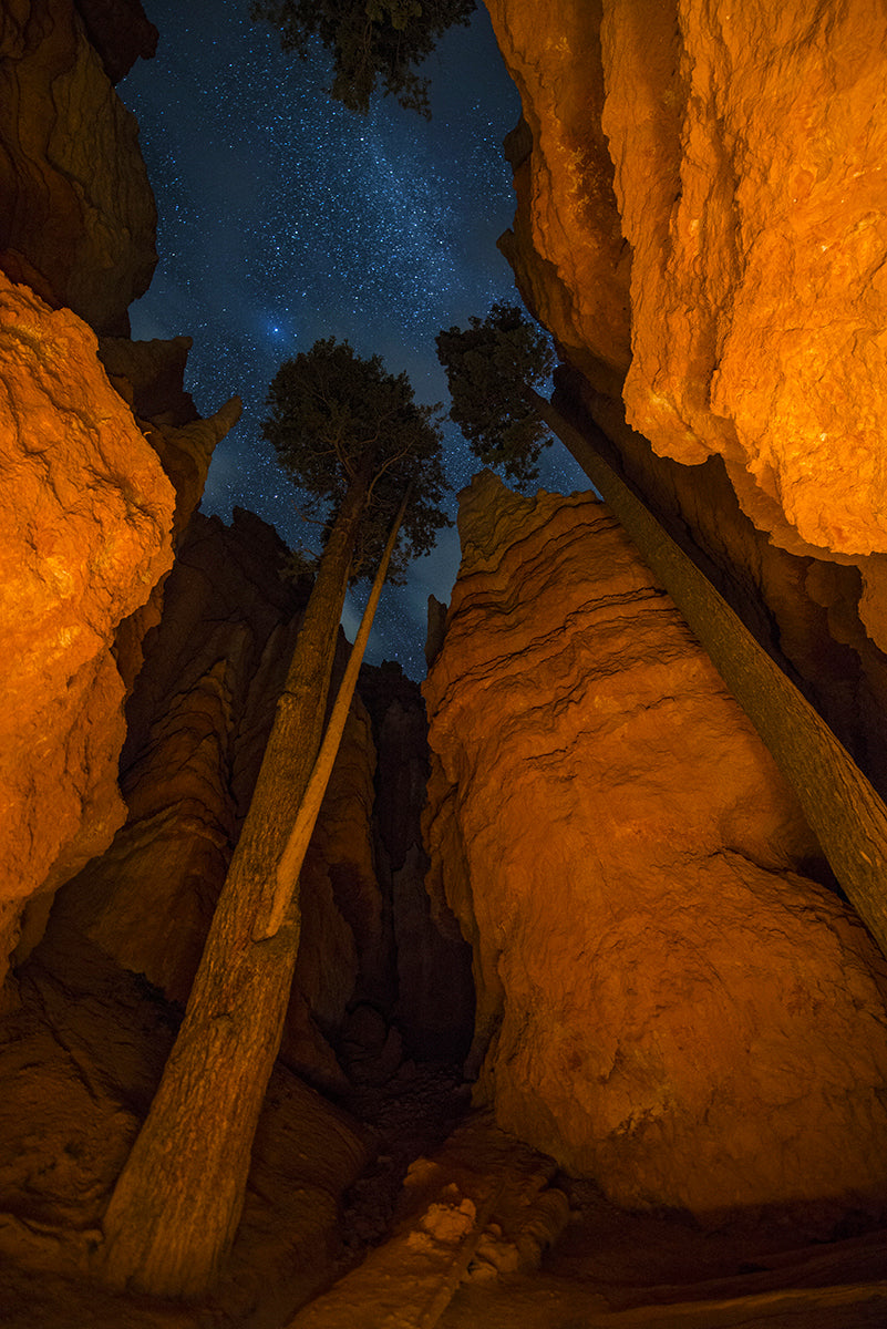 Bryce Canyon Bottoms Up, Utah