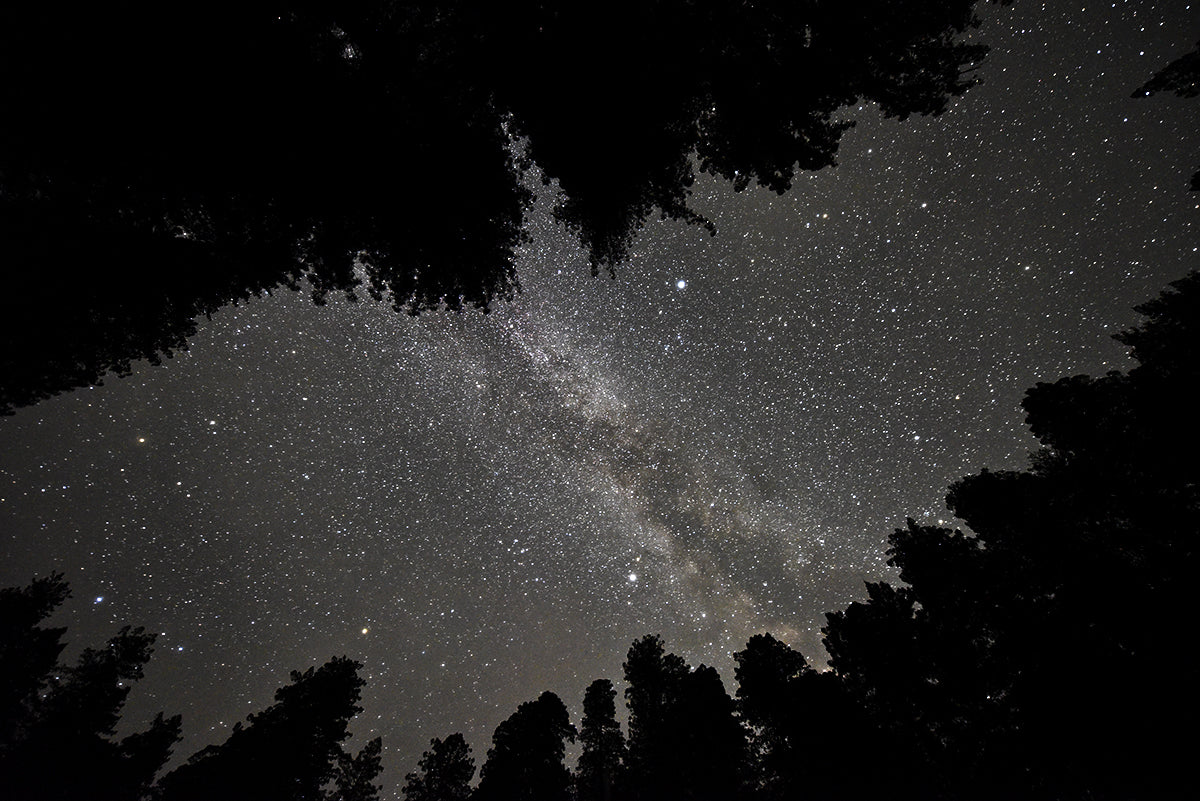 Humboldt Milky Way, California
